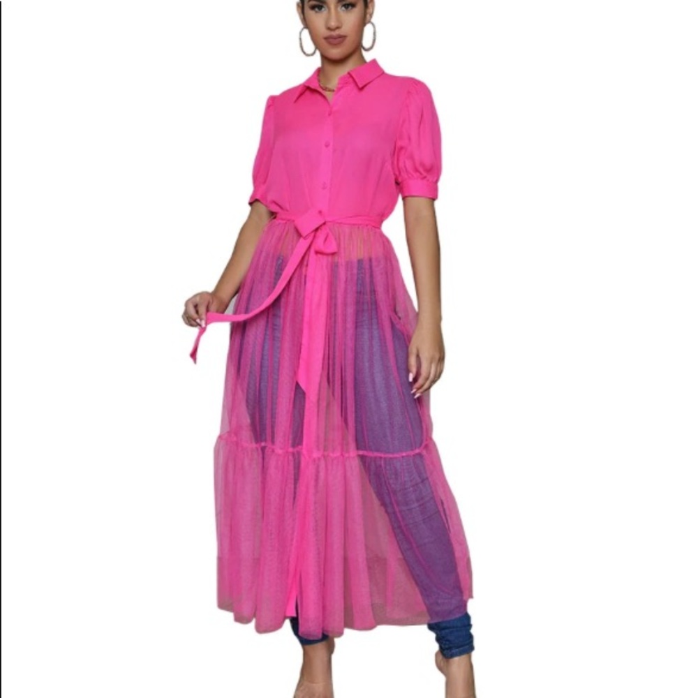Sheer organza Blouse